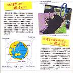 p2.jpg