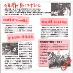 p3.jpg