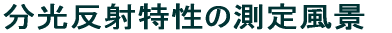 �������˓����̑��蕗�i
