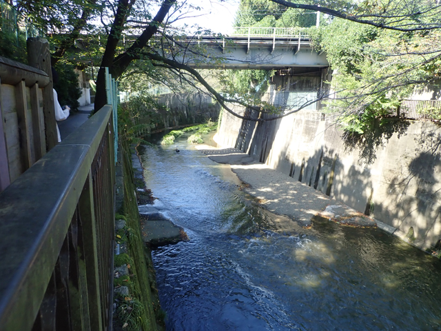 流出　野外 写真01.JPG