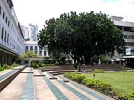 03.JPG