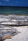 GeoPhoto1363.jpg