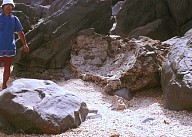 GeoPhoto1368.jpg