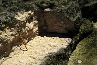 GeoPhoto2908.jpg